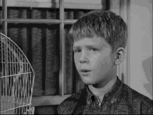 opie in mayberry