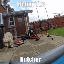 Benny The Butcher Rap GIF - Benny The Butcher Benny The Butcher GIFs