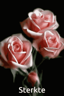 Blooming Rose Animated Gif GIFs | Tenor
