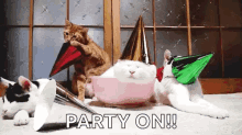 Party Cats GIF - Party Cats Wake Up GIFs