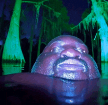 a man with a mustache is standing in a dark forest