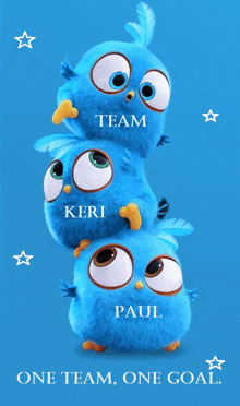 three blue birds stacked on top of each other with the words team keri paul one team one goal on the bottom