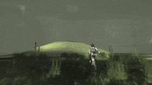 Shadow Of The Colossus Sotc GIF - Shadow Of The Colossus Sotc Adventure GIFs
