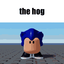 The Hog GIF