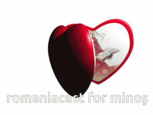 a pair of heart shaped glasses with the words romaniacest for minus written below them
