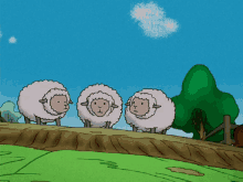 Sheep GIF