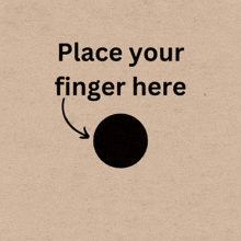 Put Your Finger Here Place Your Finger Here GIF - Put Your Finger Here Place Your Finger Here Rat Gif GIFs