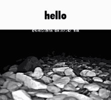 Hello Chat GIF - Hello Chat Lobber GIFs
