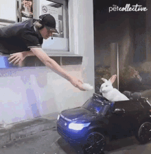 Feeding The Pet Collective GIF - Feeding The Pet Collective Eat This GIFs