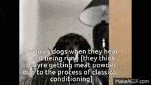 pavlov 's dogs when they hear a bell being rung they think theyre getting meat powder