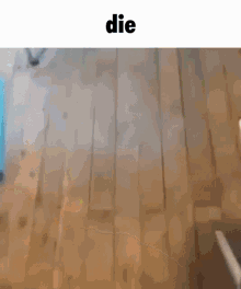 a dog is walking on a wooden floor with the words `` die '' written above it .