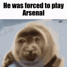He Was Forced To Play Arsenal Arsenal GIF - He Was Forced To Play Arsenal Arsenal Roblox GIFs