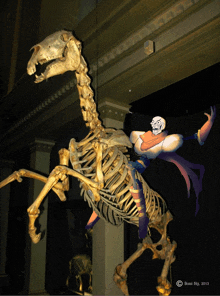 a skeleton of a horse with a superhero riding on it