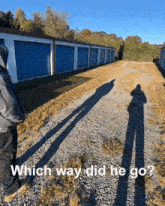 Which Way Did He Go Arrow GIF