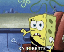 a cartoon of spongebob wearing a seat belt with the words ba roberte written below him