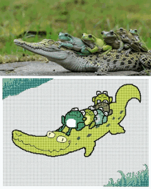 Crocodile Frog GIF