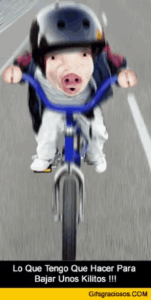 pig biking omw leit%C3%A3o
