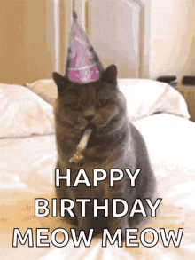 happy birthday funny cats