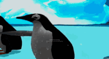 Penguins GIF - Penguins GIFs