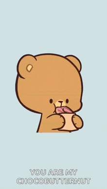 a cartoon of a cat and a teddy bear with the words " you are my chocobutternut "