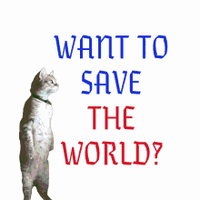 Want To Save The World Cat GIF - Want To Save The World Cat Kitty GIFs