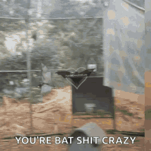 Aussiecrazybatlady Bats GIF - Aussiecrazybatlady Bats Bat GIFs
