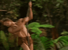 George George Of The Jungle GIF - George George Of The Jungle Watch Out GIFs