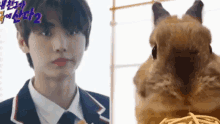 Hoon Coniglietto Sunghoon Coniglietto GIF - Hoon Coniglietto Sunghoon Coniglietto Sunghoon Bunny GIFs