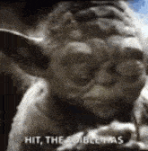 Yoda Closed Eyes GIF - Yoda Closed Eyes Star Wars GIFs