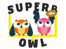 49ers owl
