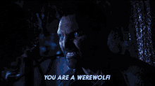 You Are A Werewolf Derek Hale GIF - You Are A Werewolf Derek Hale Teen Wolf The Movie GIFs