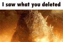 Godzilla I Saw What You Deleted GIF - Godzilla I Saw What You Deleted Meme GIFs