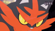 Torracat Pokémon Torracat GIF