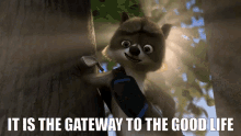 Over The Hedge Rj Raccoon GIF - Over The Hedge Rj Raccoon It Is The Gateway To The Good Life GIFs