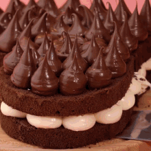 a close up of a chocolate cake with chocolate frosting