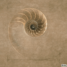 a picture of a spiral on a beach with pixiz written on the bottom right
