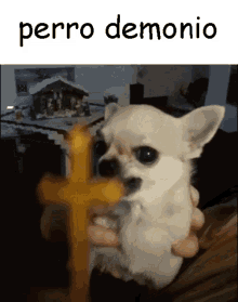 Dog Demon GIF - Dog Demon Chiwawa GIFs