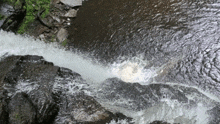 a waterfall is surrounded by rocks and trees and the water is very shallow