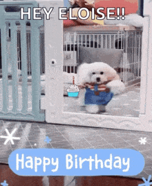 Happy Birthday Birthday Cupcake GIF - Happy Birthday Birthday Cupcake Birthday Candle GIFs