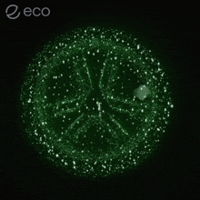 a green circle with the word eco on the bottom right