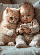 a baby and a kitten are sitting next to each other looking at a cell phone
