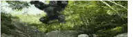 a gorilla is jumping over a rock in the woods .