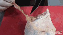 a person is cutting a chicken on a red cutting board and the chicken is made in animotica