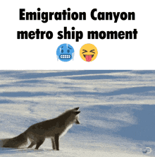 Emigration Canyon Emigration Canyon Metro Ship GIF - Emigration Canyon Emigration Canyon Metro Ship GIFs