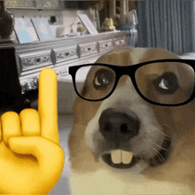 a dog wearing glasses and a yellow hand giving the horns sign