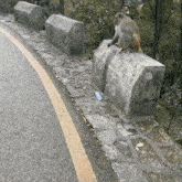 a monkey sitting on a stone wall next to the road
