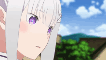 a girl with white hair and purple eyes looks at something