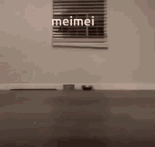 Meimei Goopmansion GIF - Meimei Goopmansion Cat GIFs