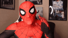 Spiderdom Spiderman GIF - Spiderdom Spiderman Spider Man GIFs