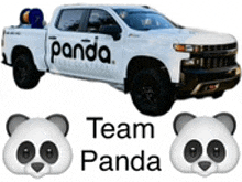 Panda Pest Control Angry Panda GIF - Panda Pest Control Panda Angry Panda GIFs